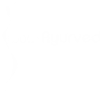 WOW Logo 2025