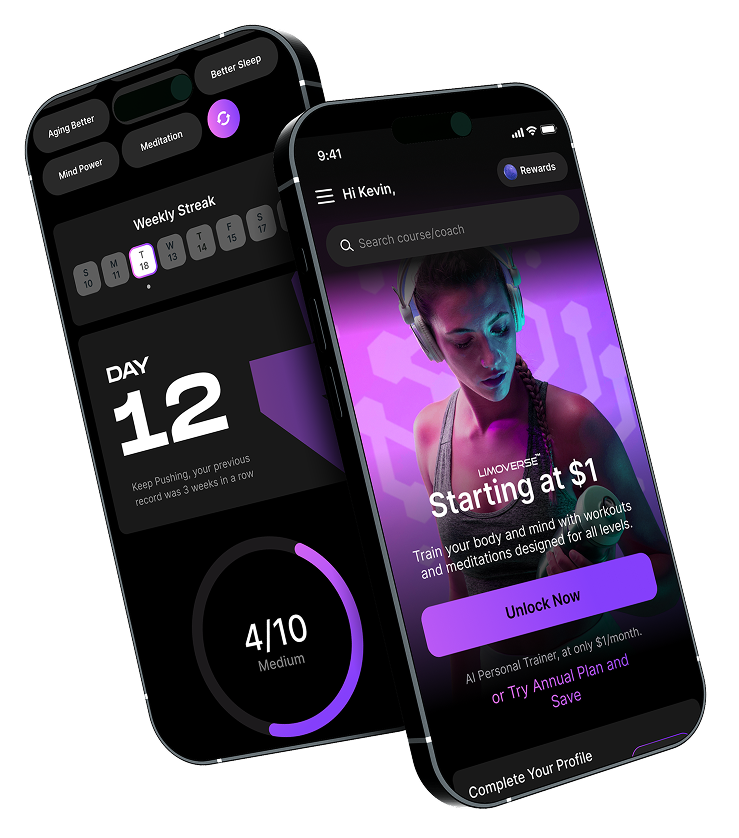 LIMOVERSE SUPERAPP Download Mockup