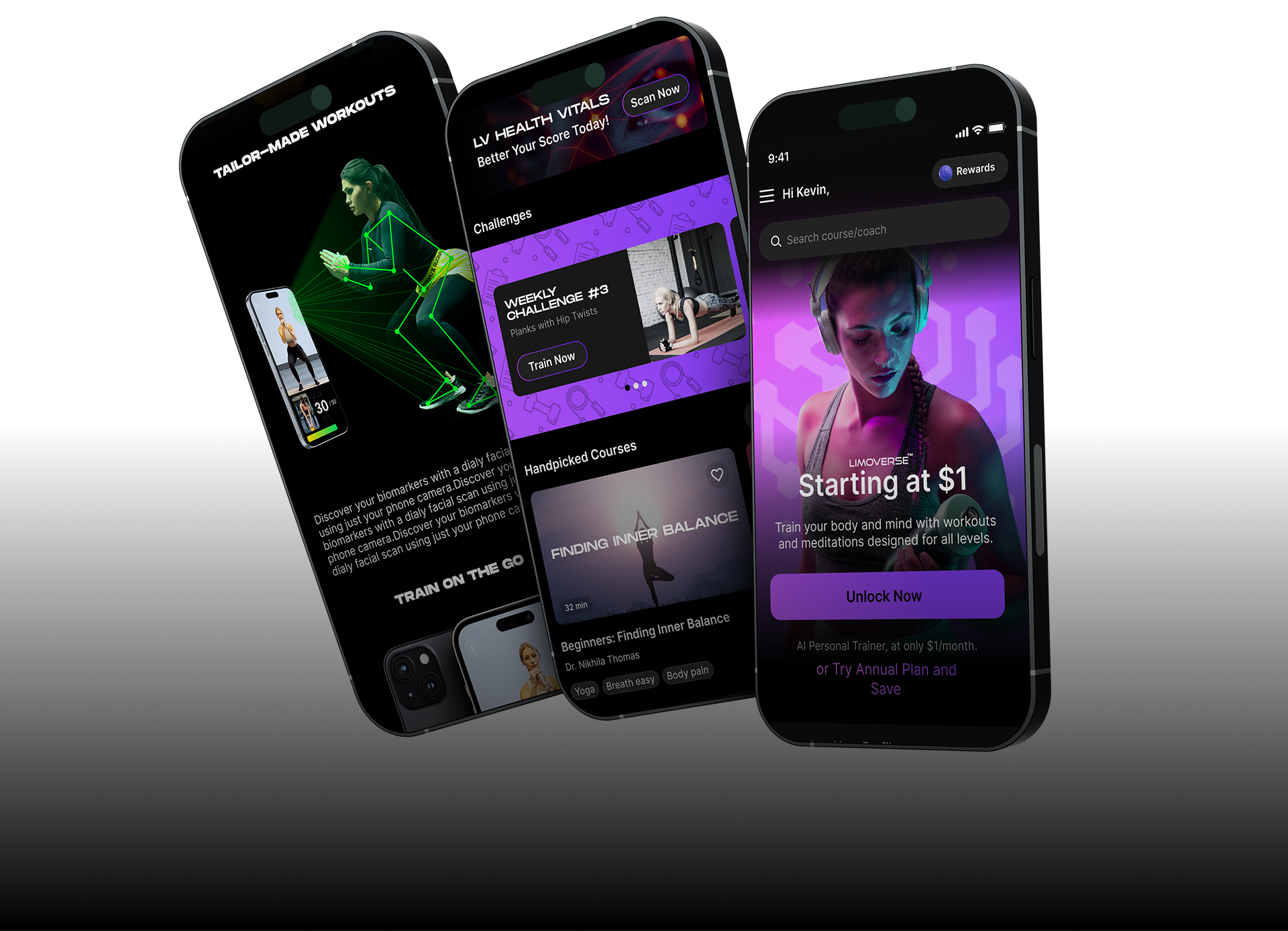 LIMOVERSE SUPERAPP Feature Mockup